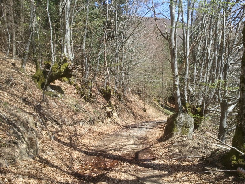La Chabanne